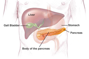 Болезнь поджелудочной железы, либо Исцеление панкреатита