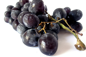 Вино и виноград как лечущее средство от рака толстой кишки